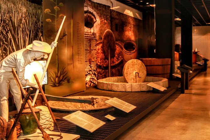 EXCLUSIVE TOUR Tequila & Mezcal - small groups - What the museum visit covers