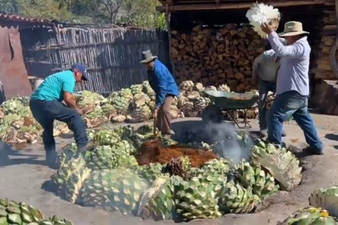 Experience the Mezcal Tour in Oaxaca - Why this Oaxaca mezcal tour is worth considering