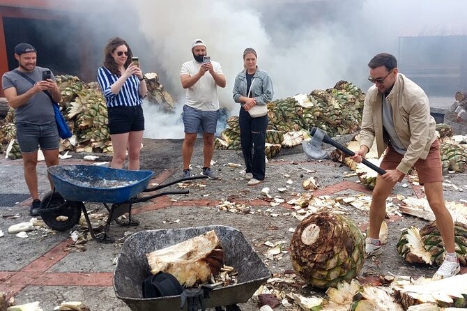 Experience the Mezcal Tour in Oaxaca - The road from Oaxaca to agave country