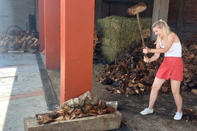 Experience the Mezcal Tour in Oaxaca - The tasting: a generous chance to compare flavors