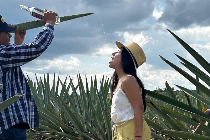 Explore Hierve el Agua, Mitla, Tule, Textile and Mezcal for a day - Mezcal in Matatlán, from agave to tasting