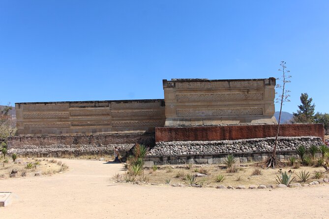 Explore Hierve el Agua, Mitla, Tule, Textile and Mezcal for a day - The Tule Tree and a quick dose of local legend