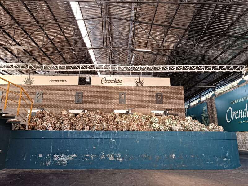 Five-star factory: Meet Orendain tequila. - Key points at a glance