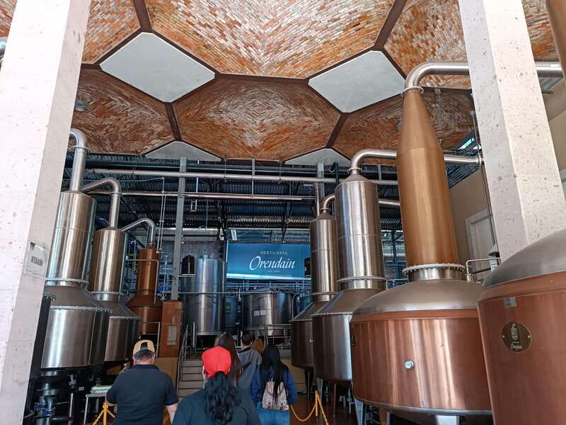 Five-star factory: Meet Orendain tequila. - Agave fields and the photo stop