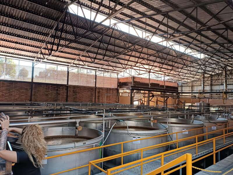 Five-star factory: Meet Orendain tequila. - What the tasting can teach you