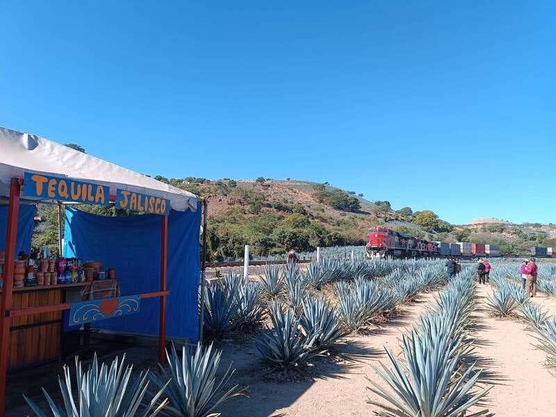 Five-star factory: Meet Orendain tequila. - Starting on C. Juárez 21
