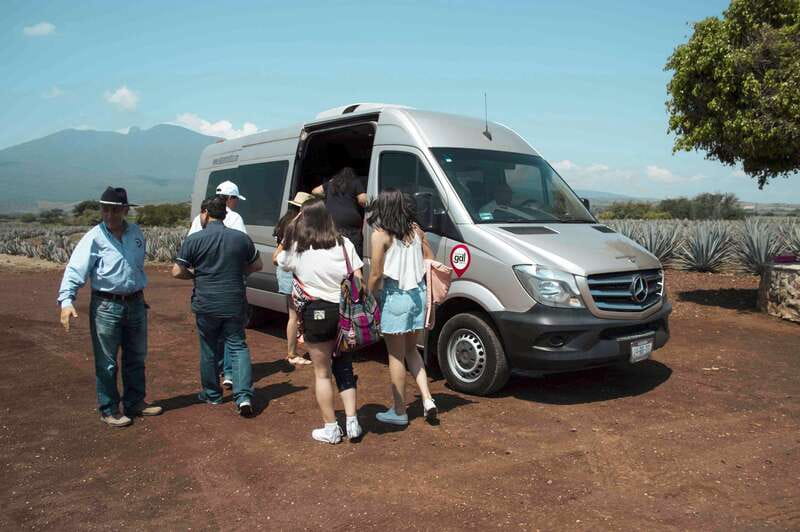From Guadalajara: Pyramids & Jose Cuervo Tequila Tour - Should You Book the Guachimontones and Tequila Tour?