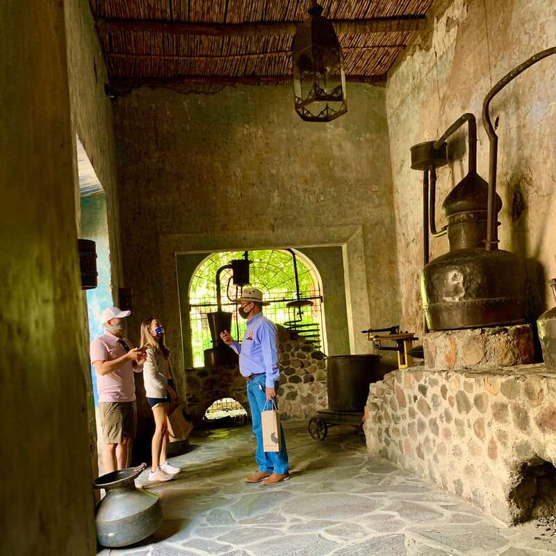 From Guadalajara: Pyramids & Jose Cuervo Tequila Tour - Is the $209 Price Fair?