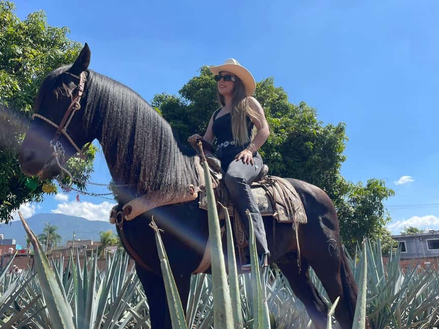 From Guadalajara: Tequila Town and Cantaritos El Guero - Key points to know before booking