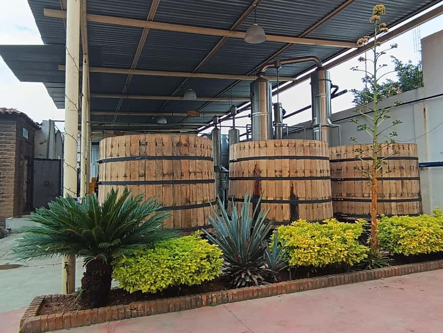 From Guadalajara: Tequila Town and Cantaritos El Guero - What the $42 price really includes