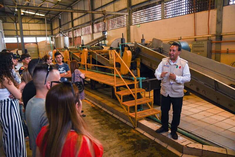 From Guadalajara: Tequila Trail Tour with Tasting - Why tequila country makes a better day trip than a factory stop