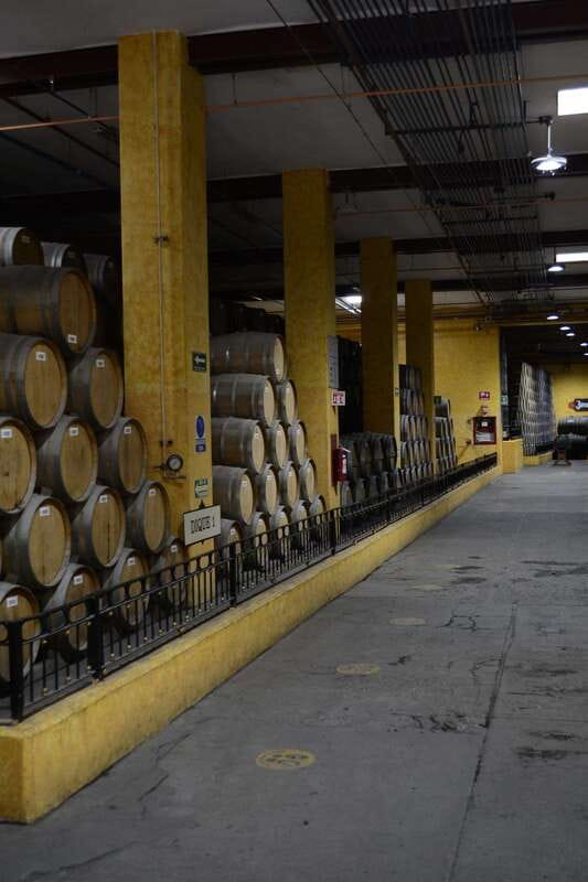 From Guadalajara: Town of Tequila & Jose Cuervo Factory Tour - Is $145 a fair price?