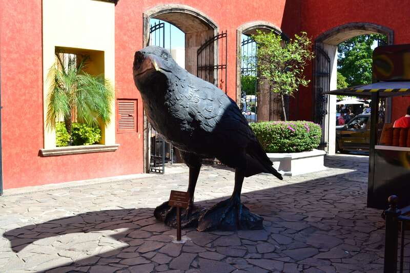 From Guadalajara: Town of Tequila & Jose Cuervo Factory Tour - The ride out from Guadalajara