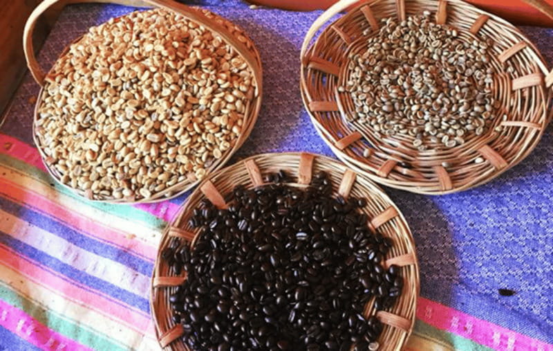 From Huatulco: Coffee and Mezcal Tour - Key details before you book