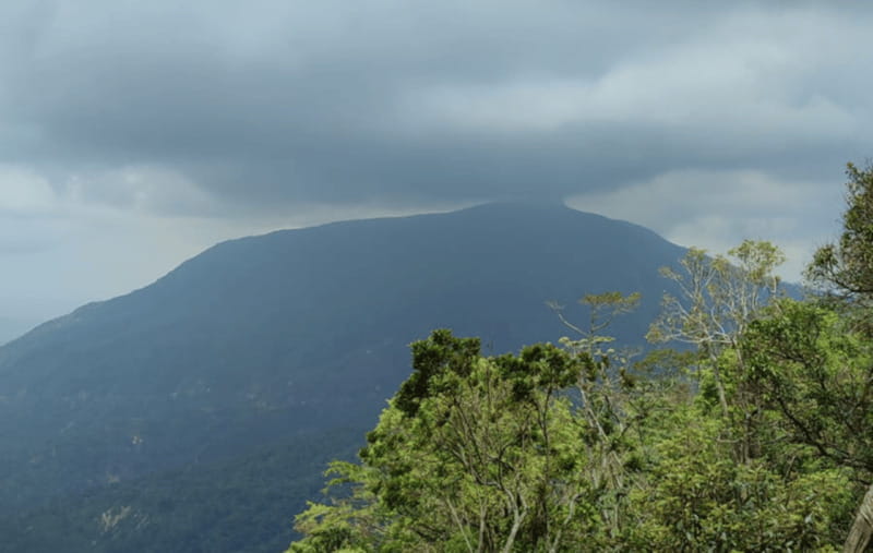 From Huatulco: Coffee and Mezcal Tour - Leaving Huatulco for the Sierra Madre