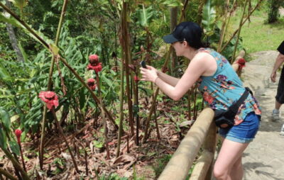From Huatulco: Coffee and Mezcal Tour