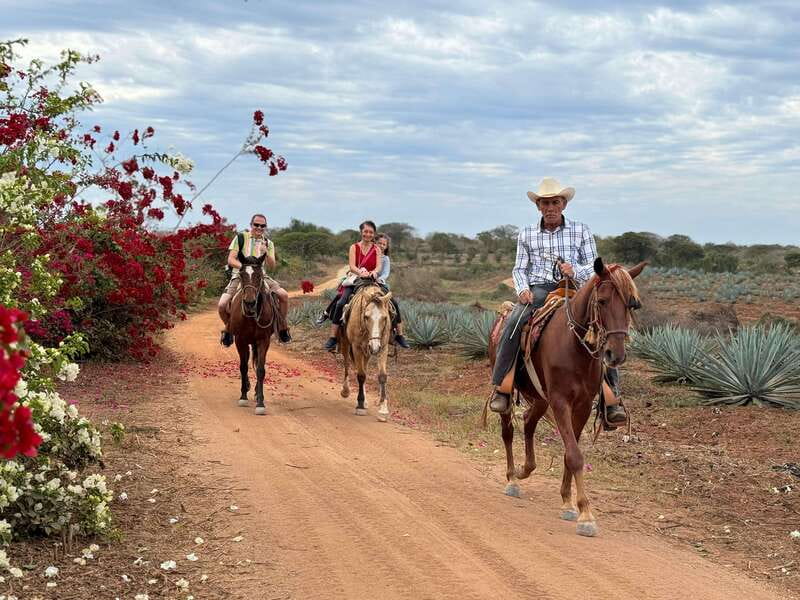 From Mazatlan: ATV & Horse Back riding with Tequila Tasting - Quick take: what makes this outing worthwhile