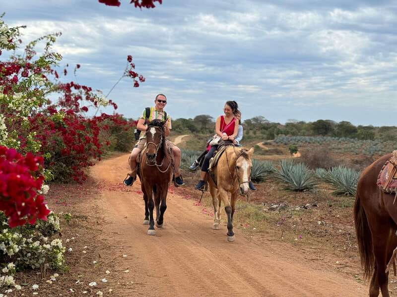 From Mazatlan: ATV & Horse Back riding with Tequila Tasting - ATV riding beside the beach and agave fields