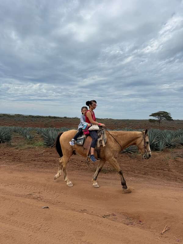 From Mazatlan: ATV & Horse Back riding with Tequila Tasting - Horseback riding through beach and jungle routes
