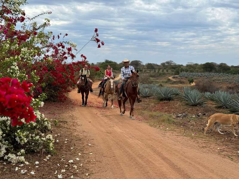 From Mazatlan: ATV & Horse Back riding with Tequila Tasting - The lunch is more than a quick snack