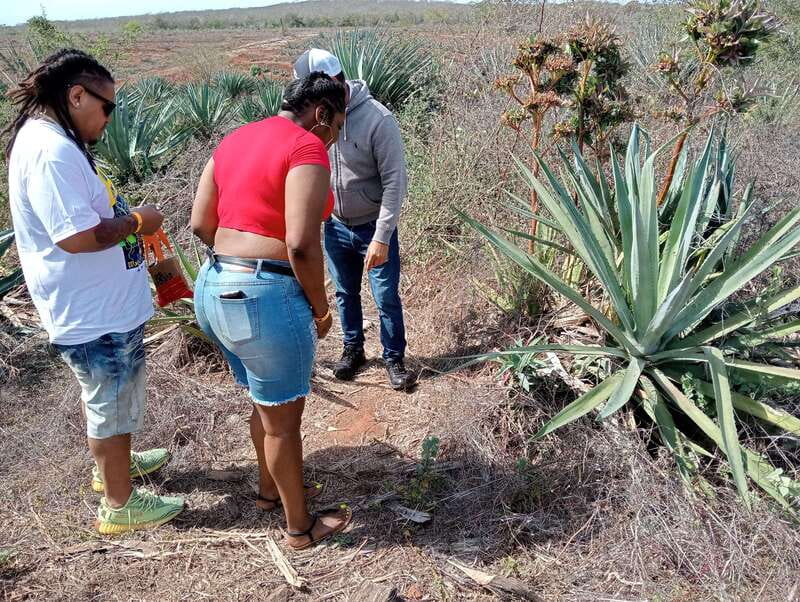 From Mazatlan: ATV & Horse Back riding with Tequila Tasting - The ranch extras: gallery, pool, rabbits, and mezcal