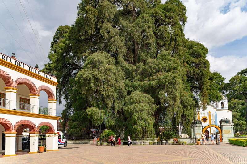 From Oaxaca: City, Mitla, and Mezcal Factory Tour - Teotitlán del Valle and the work behind Zapotec rugs
