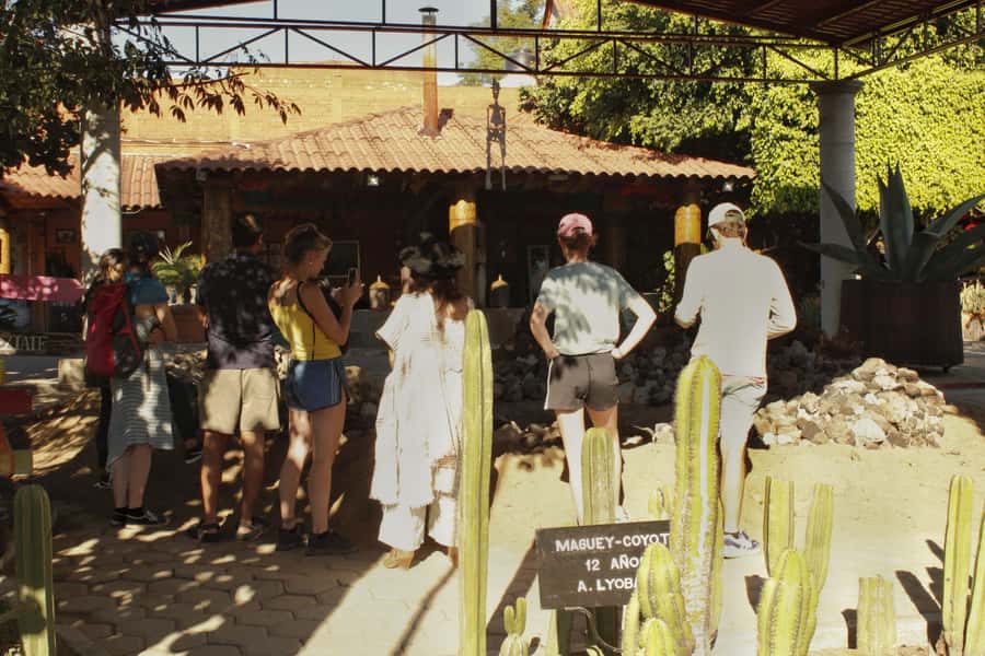 From Oaxaca de Juarez: Hierve el Agua and Mezcal Distillery - Why this Oaxaca day trip works so well