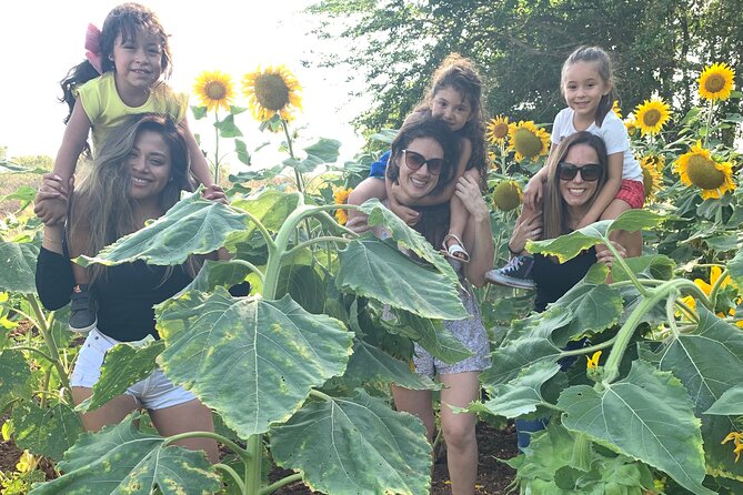 Fruit Garden and Mezcal Tasting Tour with Lunch Included - Lunch with flambéed cheese and burritos