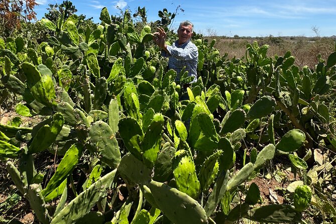 Fruit Garden and Mezcal Tasting Tour with Lunch Included - Who will enjoy this ranch outing?