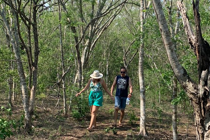 Fruit Garden and Mezcal Tasting Tour with Lunch Included - Practical planning for your day