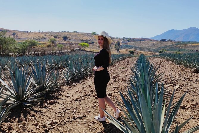 Full Day in Tequila with Tasting and party in Cantaritos - How the timing affects the value