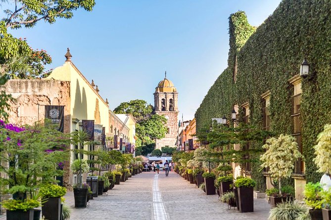 Full-Day Tequila, Jalisco from Puerto Vallarta with Tequila Experience - Key details before you book