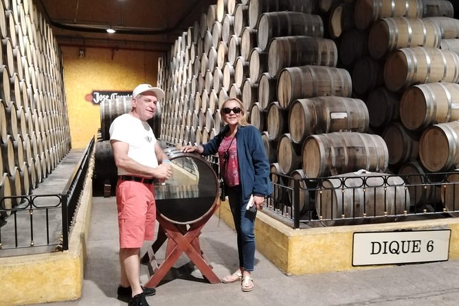 Full-Day Tequila Tour from Guadalajara - The real seven-hour question: traffic and timing