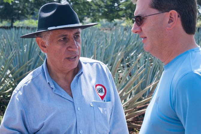 Full-Day Tequila Tour from Guadalajara - Starting at 10 a.m. from Guadalajara