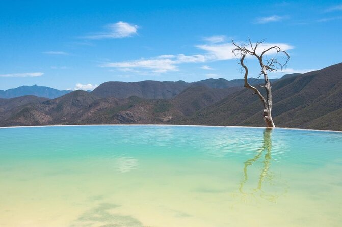full day tour : Boil the water, Teotitlan, Mezcal, tule and Mitla - Key points to know before booking