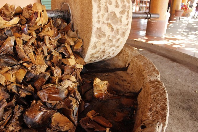 full day tour : Boil the water, Teotitlan, Mezcal, tule and Mitla - Lunch is functional, not the main attraction