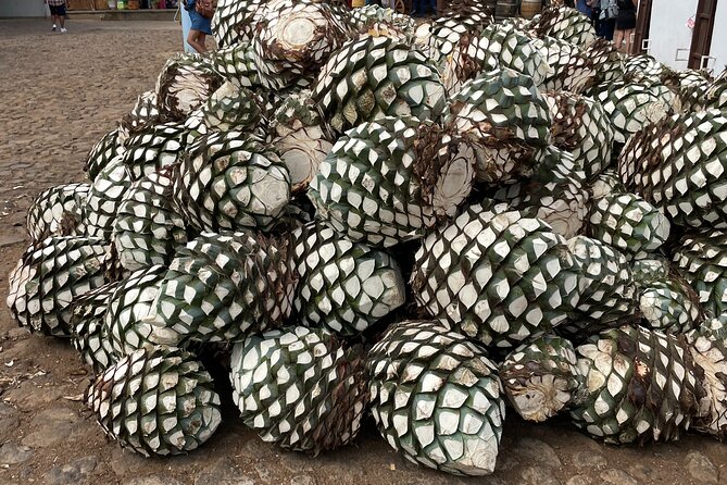 Full-Day Tour in Tequila factory and Cantaritos el Gúero - What $71.05 includes, and what it does not