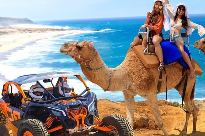 Fun Camel Ride and UTV COMBO with Tequila Tasting! - Key points to know before booking