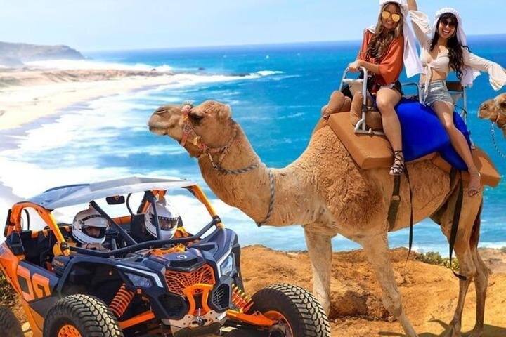 Fun Camel Ride and UTV COMBO with Tequila Tasting! - The $109 price requires a careful budget