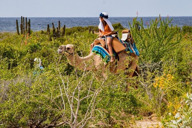Fun Camel Ride and UTV COMBO with Tequila Tasting! - Guides can make a large operation feel personal