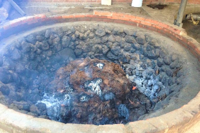 Gastronomy Experience, Culture Mezcal,Tasting & Textiles. Private Tour. - Teotitlán del Valle and the art of the wool rug