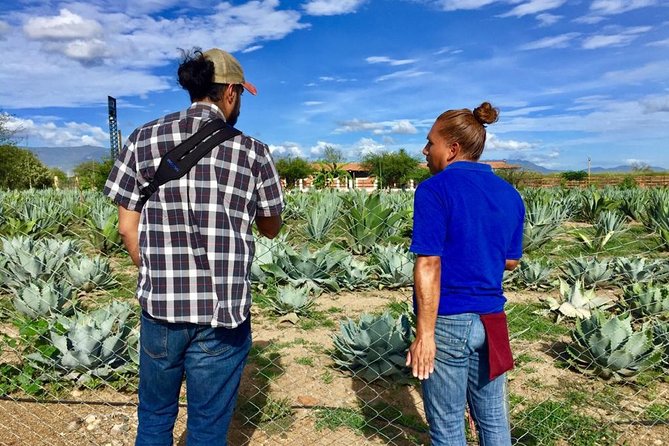 Gastronomy Experience, Culture Mezcal,Tasting & Textiles. Private Tour. - The Tule Tree, a short stop with enormous scale