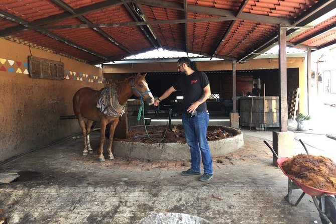 Gastronomy Experience, Culture Mezcal,Tasting & Textiles. Private Tour. - Timing, transport, and what to bring