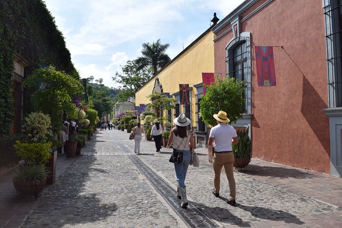 Guachimontones and Tequila a Guided Tour of Culture and History - Who will enjoy this experience most?