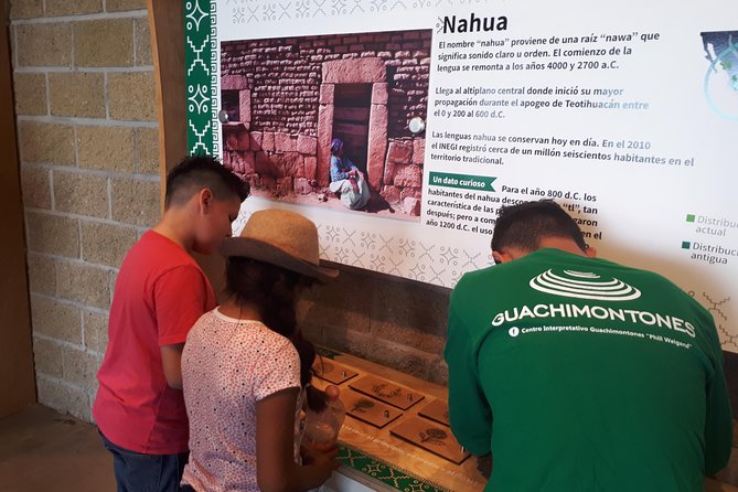 Guachimontones and Tequila Tour - Amatitán, agave fields, and the local drink stop