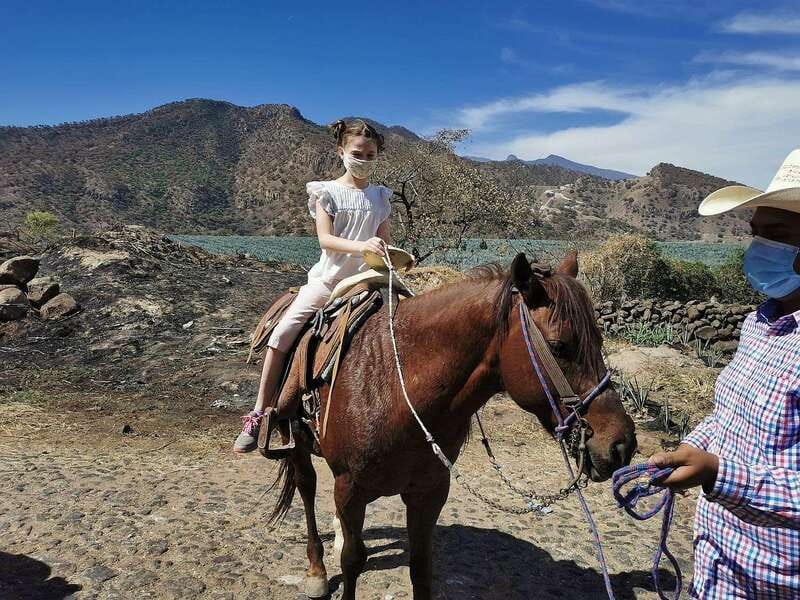 Guadalajara: Horse Riding on the Tequila Route with Tastings - Amatitán’s agave fields and the first tasting