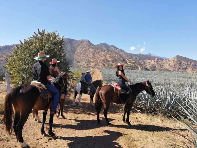 Guadalajara: Horse Riding on the Tequila Route with Tastings - Horseback riding through Amatitán