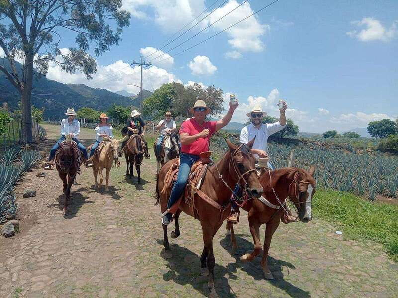 Guadalajara: Horse Riding on the Tequila Route with Tastings - Tequila’s downtown in about 45 minutes