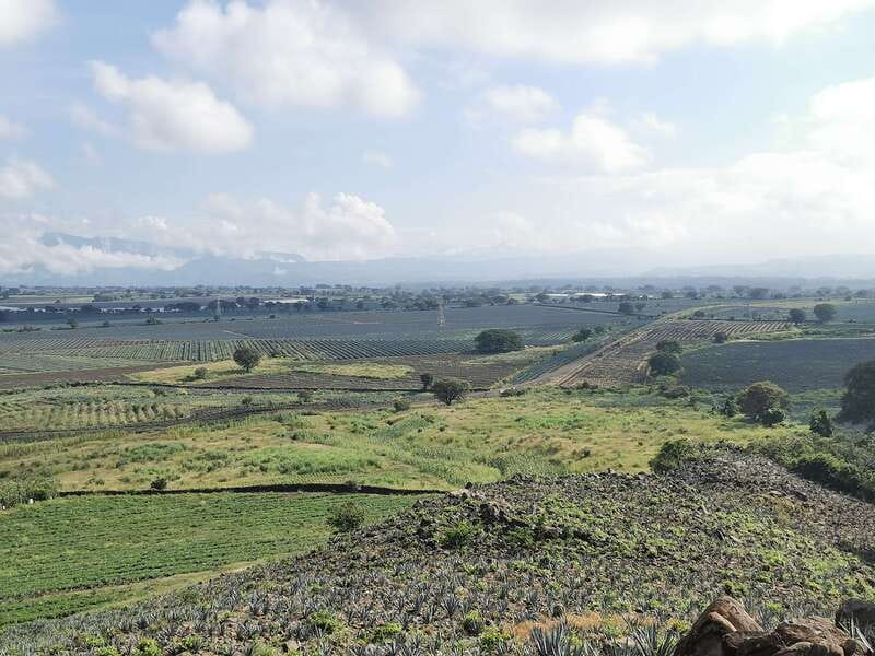 Guadalajara: Horse Riding on the Tequila Route with Tastings - Who should book this day?