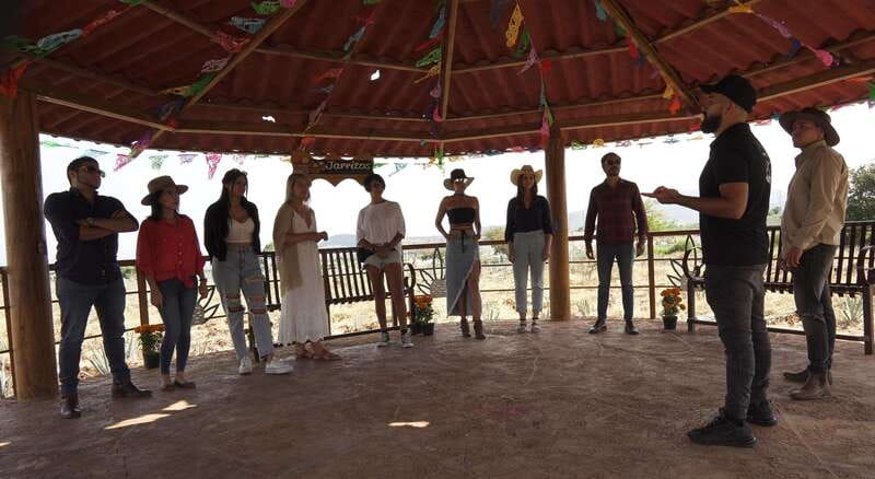 Guadalajara: Premium Tequila Tour with Tastings and Pairings - Key points at a glance